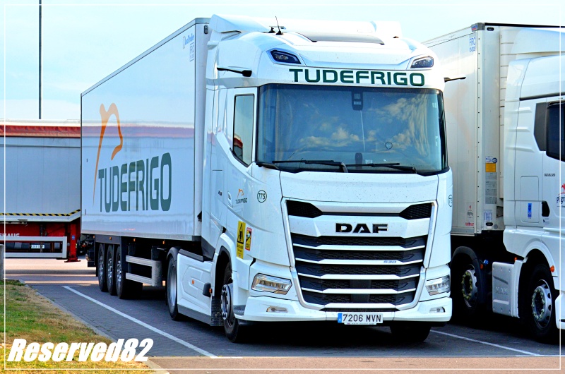 DSC_1969 Tudefrigo.JPG