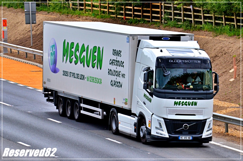 DSC_3413 Mesguen.JPG