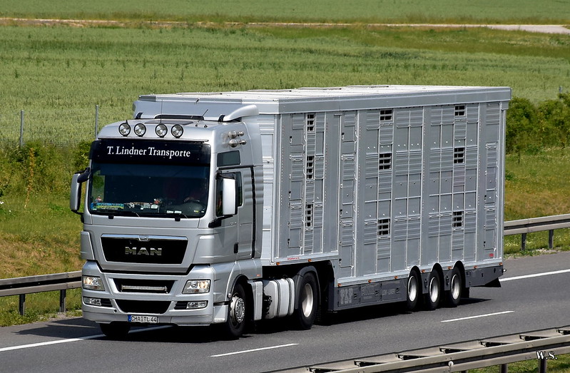T.Lindner_MAN_TGX_D.jpg
