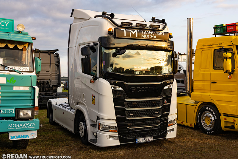 Scania TM Transport Mucha.jpg