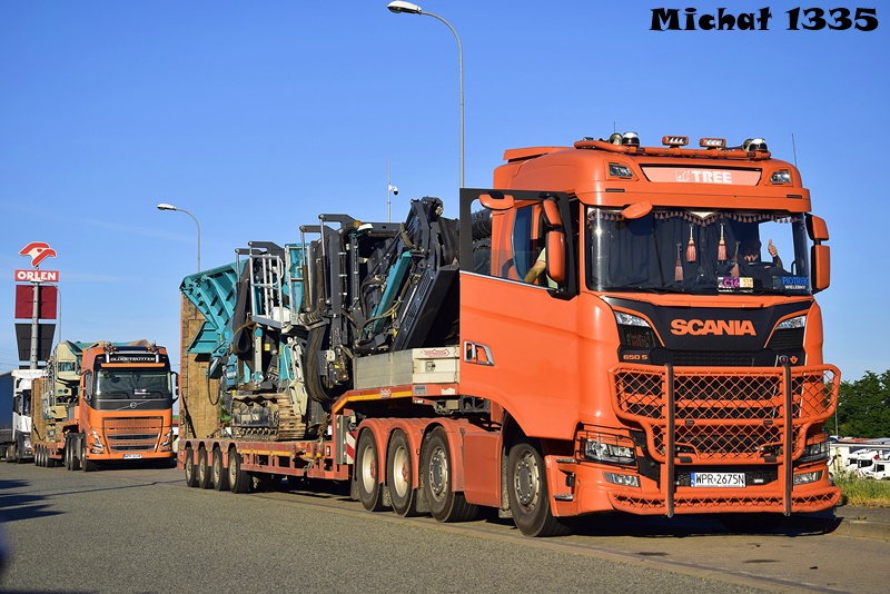 _DSC6946 TREE SCANIA R.JPG