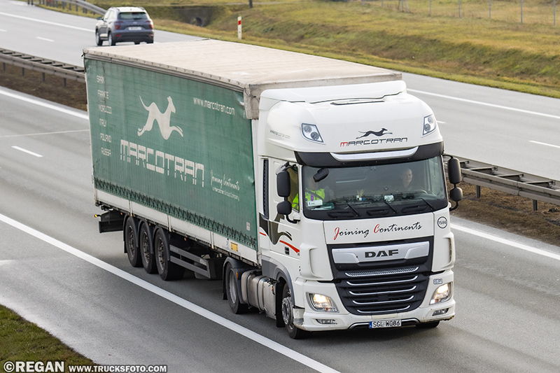 DAF XF Marcotran.jpg