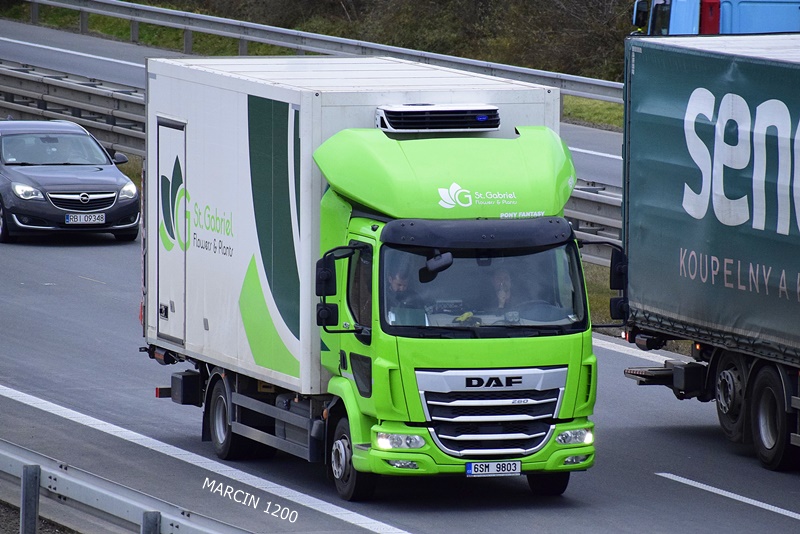 _DSC0777 St.Gabriel-crop-DAF LF.JPG