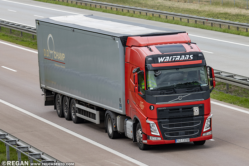 Volvo FH4 - Waltrans D.D. Champ.jpg