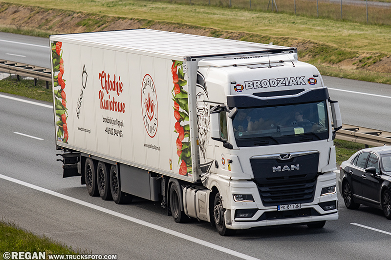 MAN TGX II - Brodziak Botania kwiaty z Polski.jpg