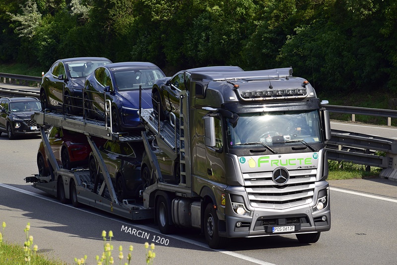 _DSC7244 FRUCTE-crop-ActrosL.JPG