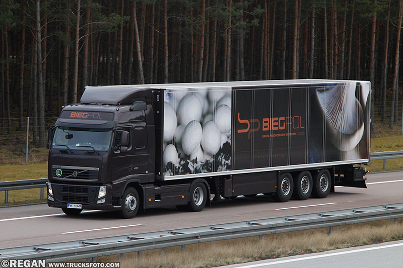 Volvo FH3 - Biegpol.jpg