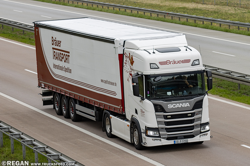Scania R500 - Brauer.jpg