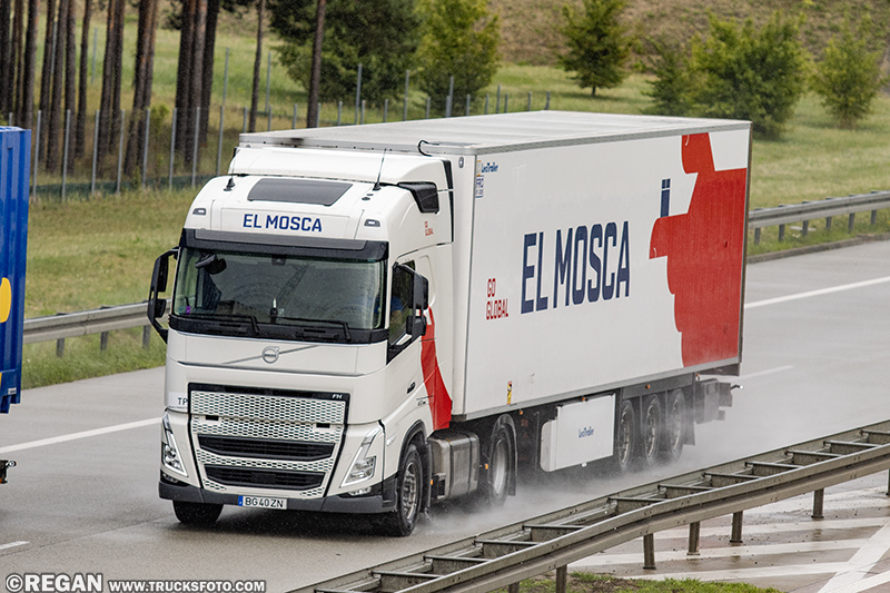 Volvo FH5 - El Mosca.jpg