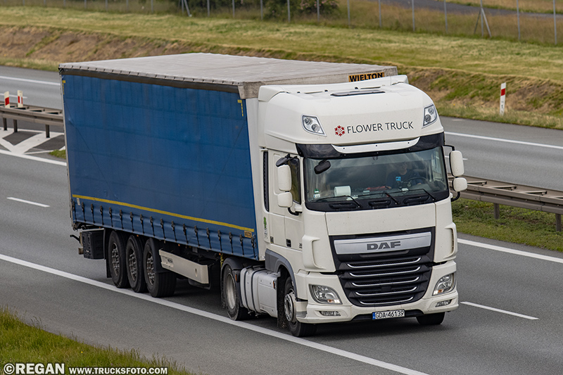 DAF XF - Flower Truck.jpg