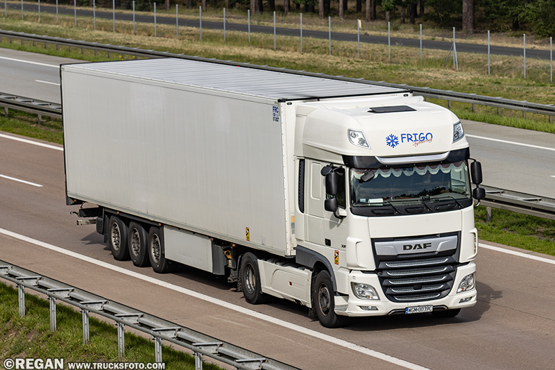 DAF XF - Frigo Tyburscy.jpg