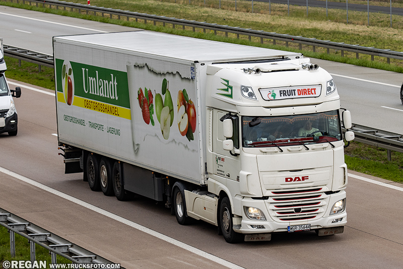 DAF XF - Fruit Direct.jpg