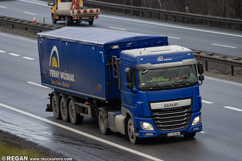 DAF XF - Fermy Drobiu Woźniak.jpg