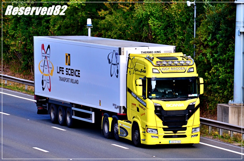 DSC_6128 Iggy Maddern.JPG