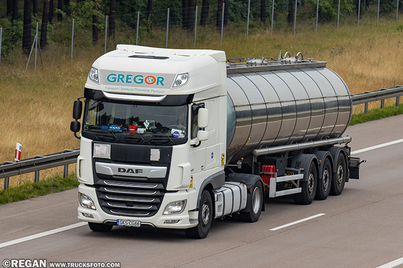 DAF XF - Gregor Kościerzyna.jpg