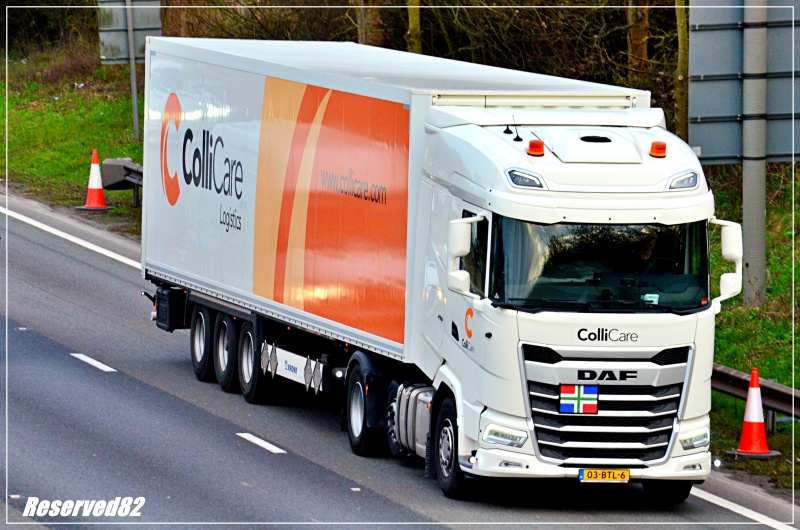 DSC_9300 Collicare.JPG