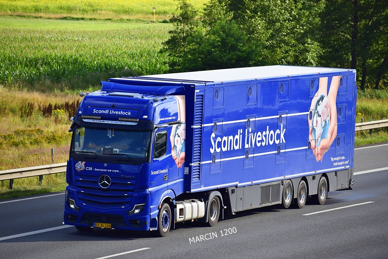 _DSC8061 Scandi Livestock-crop-ActrosL MP5.JPG