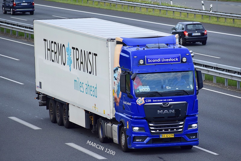 _DSC8183 SCANDI LIVESTOCK-crop-MAN TGX II.JPG