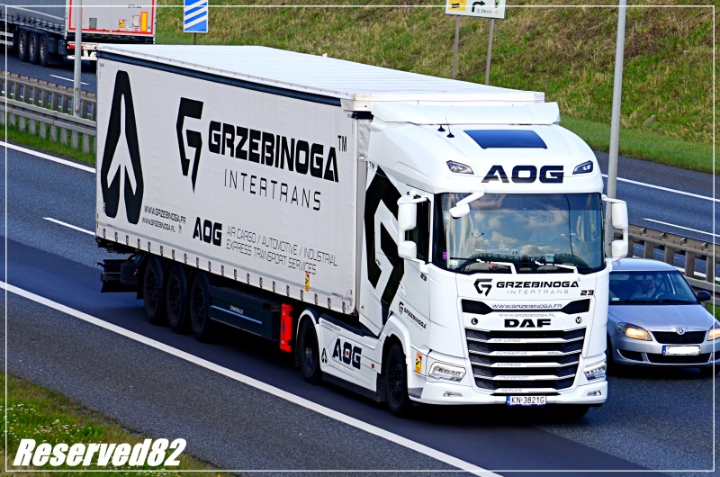 DSC_5701 Grzebinoga Daf.JPG