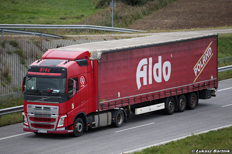 Volvo FH Aldo.jpg