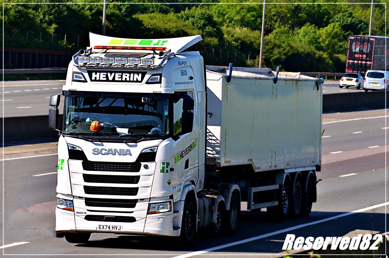 DSC_9358 Hevelin.JPG