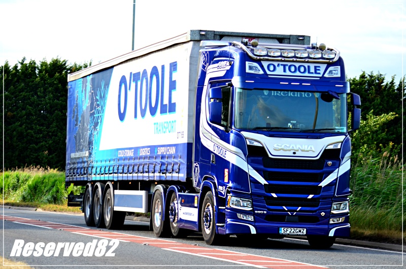 DSC_2739  Otoole.JPG