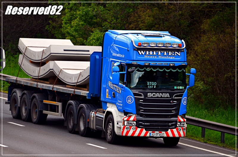 DSC_1091.JPG Whitten.JPG