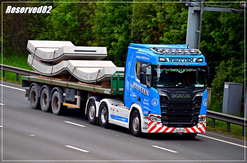 DSC_1089.JPG Whitten.JPG