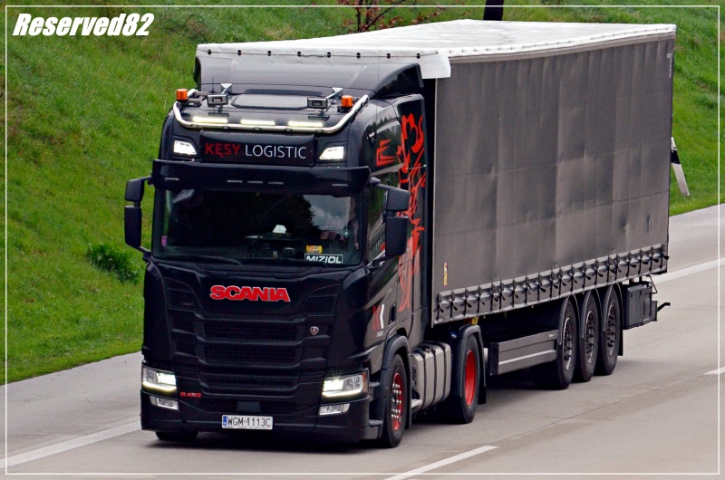 DSC_8554 KĘSY LOGISTIC Drezno.JPG