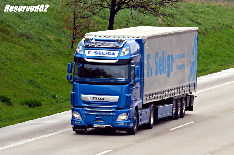 DSC_8574 F.SELIGA drezno.JPG