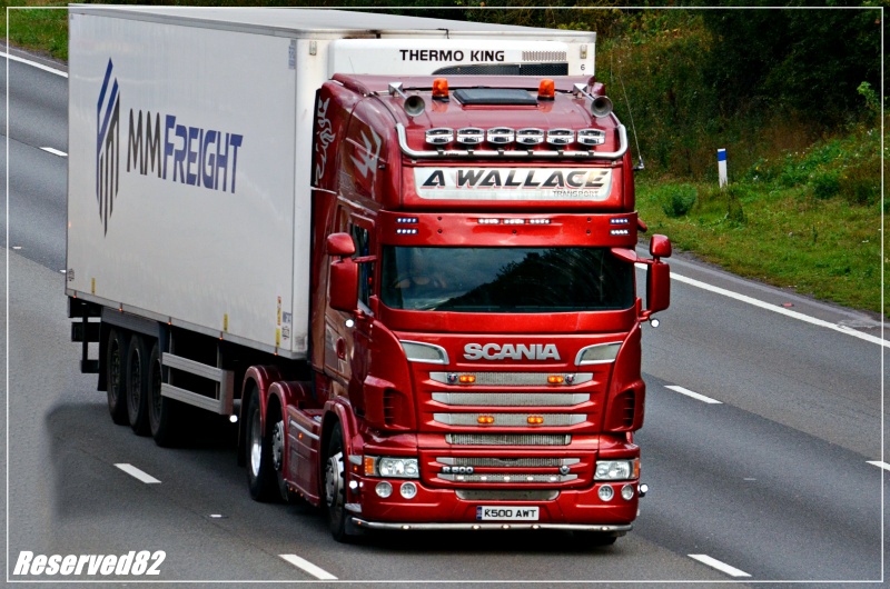 DSC_6783 A wallace.JPG