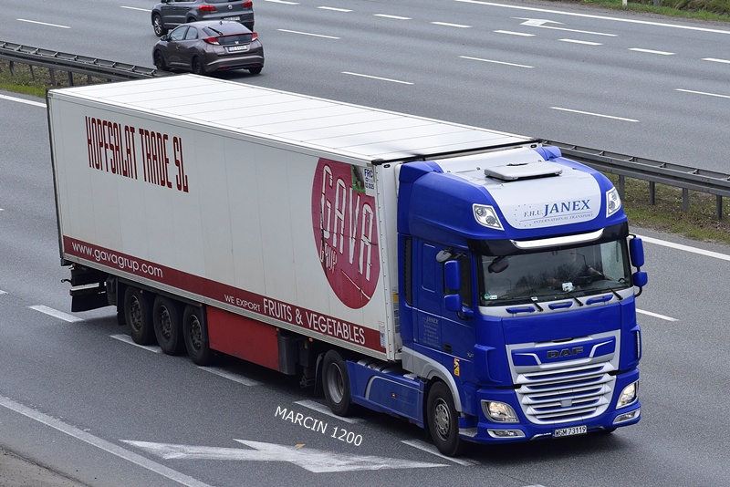 _DSC00011 (457) JANEX-crop-DAF XF 106 II.JPG