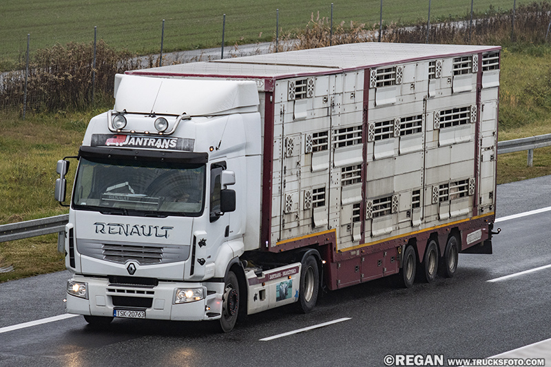 Renault Premium - Jantrans.jpg