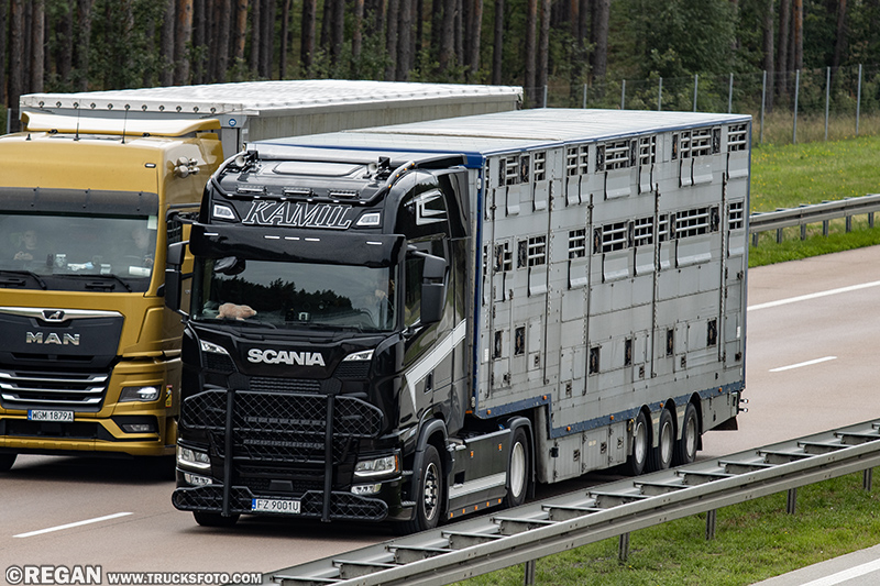 Scania Kamil.jpg