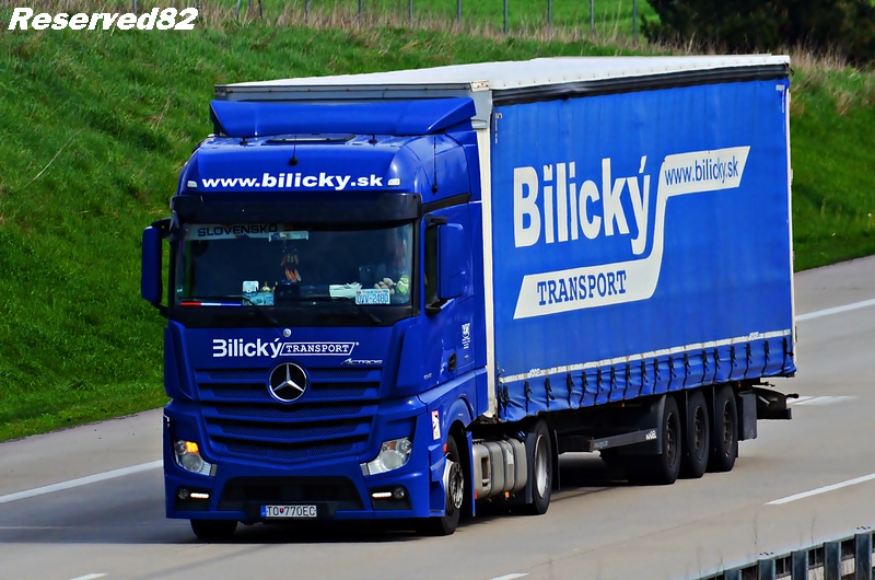 DSC_2262 BILICKY TRANSPORT.JPG