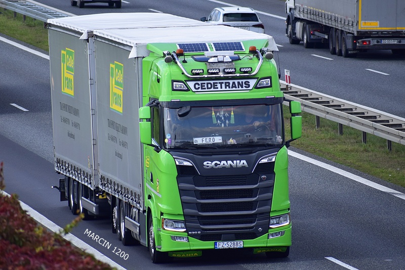 _DSC2449 CEDETRANS-crop-SCANIA S 530 V8.JPG