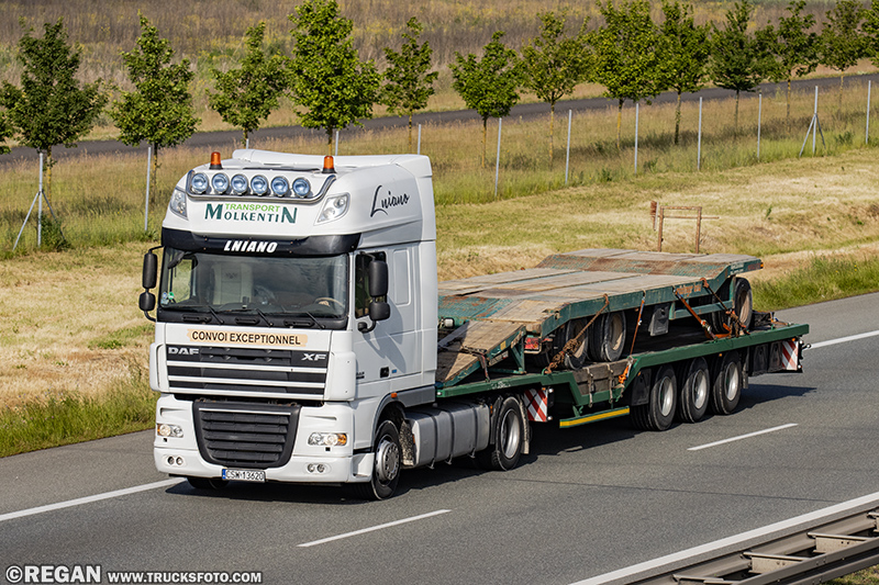 Daf XF105 - Molkentin.jpg