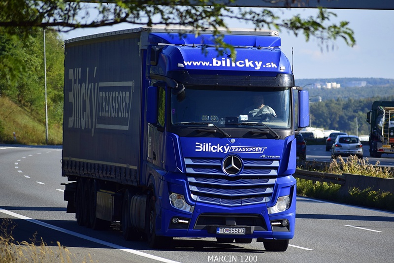 _DSC00011 (2147) BILICKY-crop-ACTROS MP4.JPG