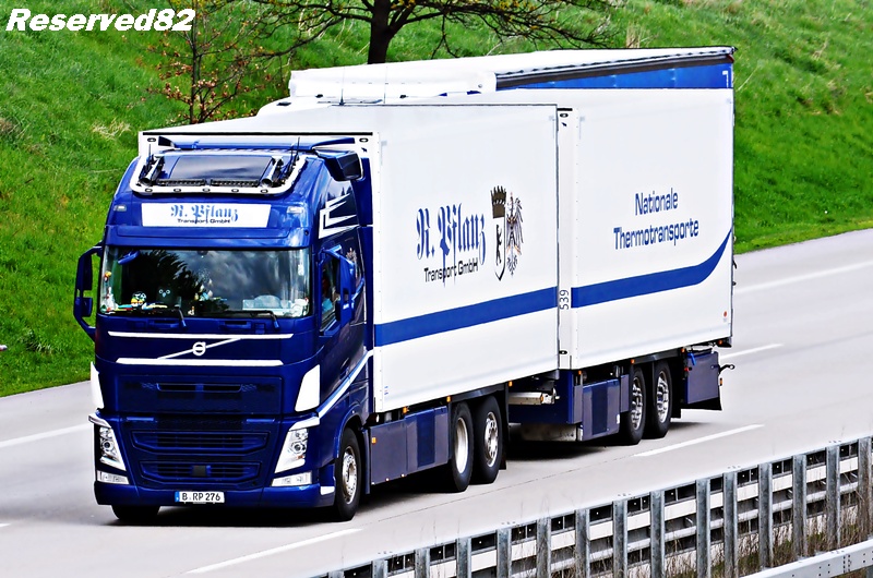 DSC_3048 R pflanz.JPG