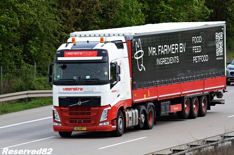 DSC_4384 VEENSTRA FRITOM NL.JPG