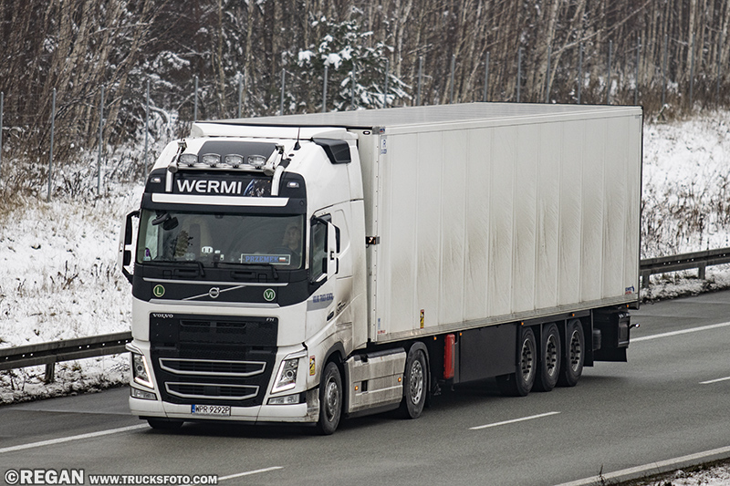 Volvo FH - Wermi.jpg