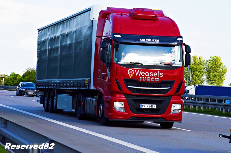 DSC_3589 WEASELS.JPG