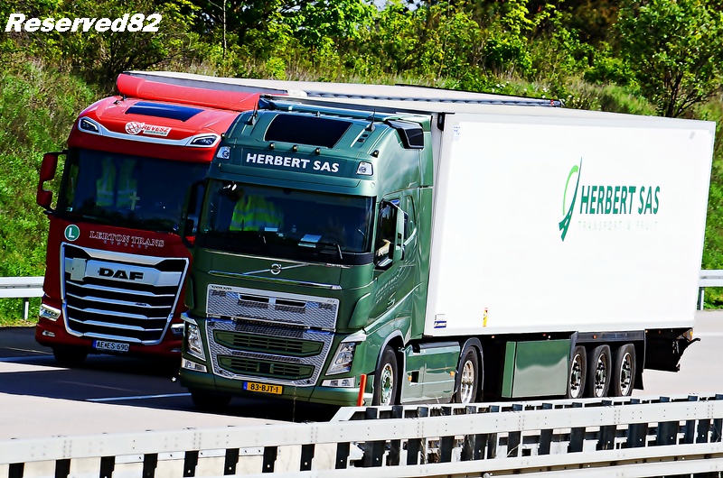 DSC_4999 HERBERT SAS.JPG