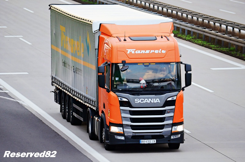 DSC_1010 TRANSPELE.JPG