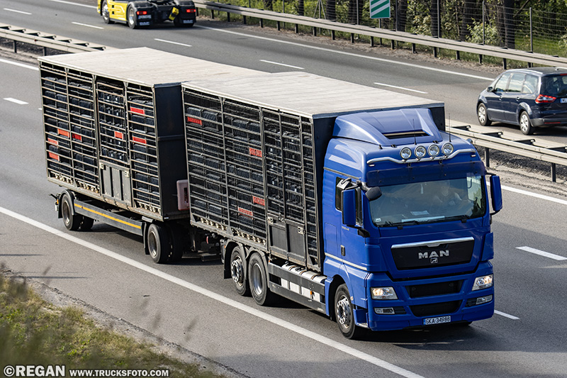 MAN TGX Mielewczyk.jpg