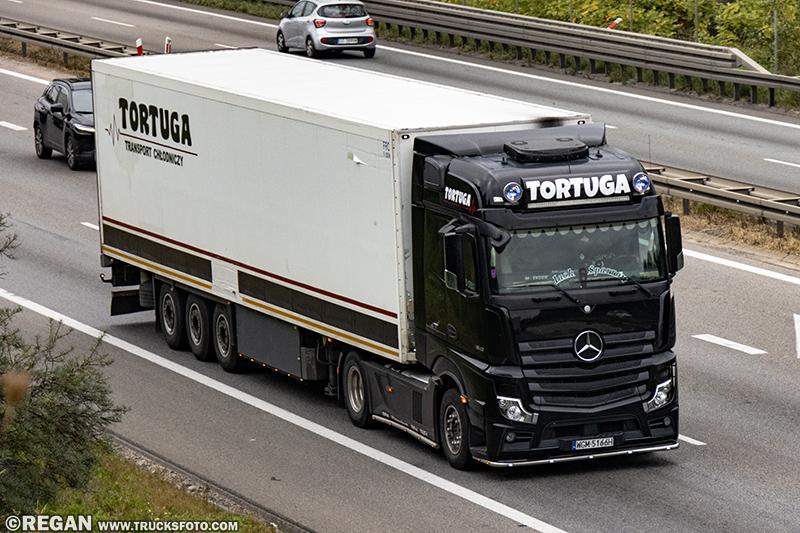 Mercedes-Benz Actros - Tortuga.jpg