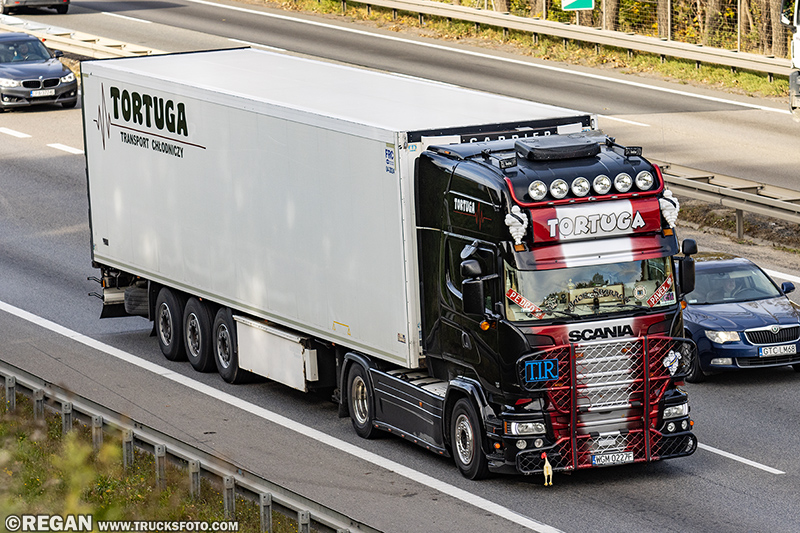 Scania R450 - Tortuga.jpg