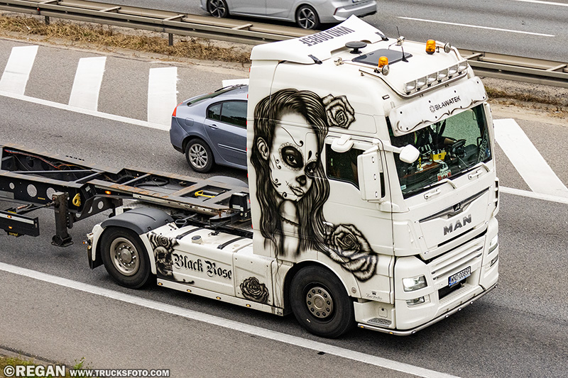 MAN TGX Bławatek transport.jpg