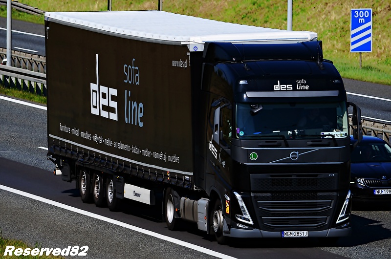 DSC_6666 Sofa DES LINE.JPG