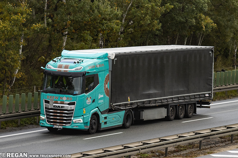 DAF XG - Drewnord.jpg
